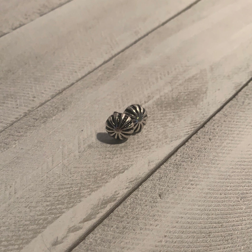 Silver Studs