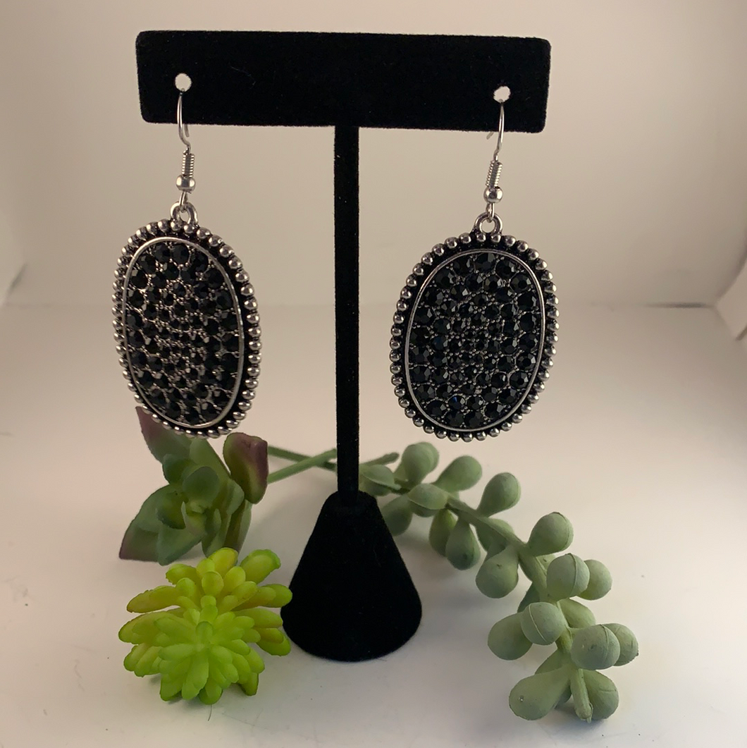 Sparkly Black Earring