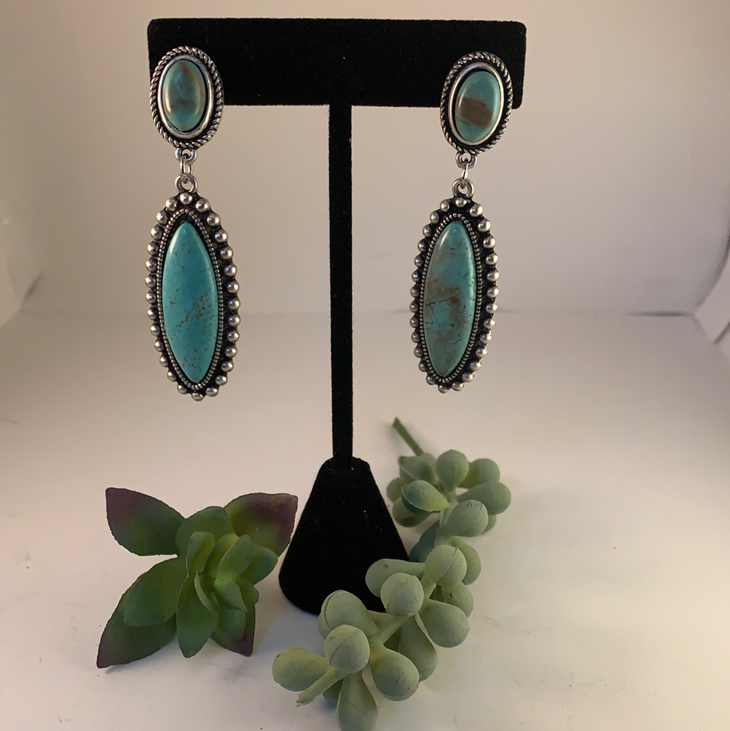 Oval Natural Stone Earring