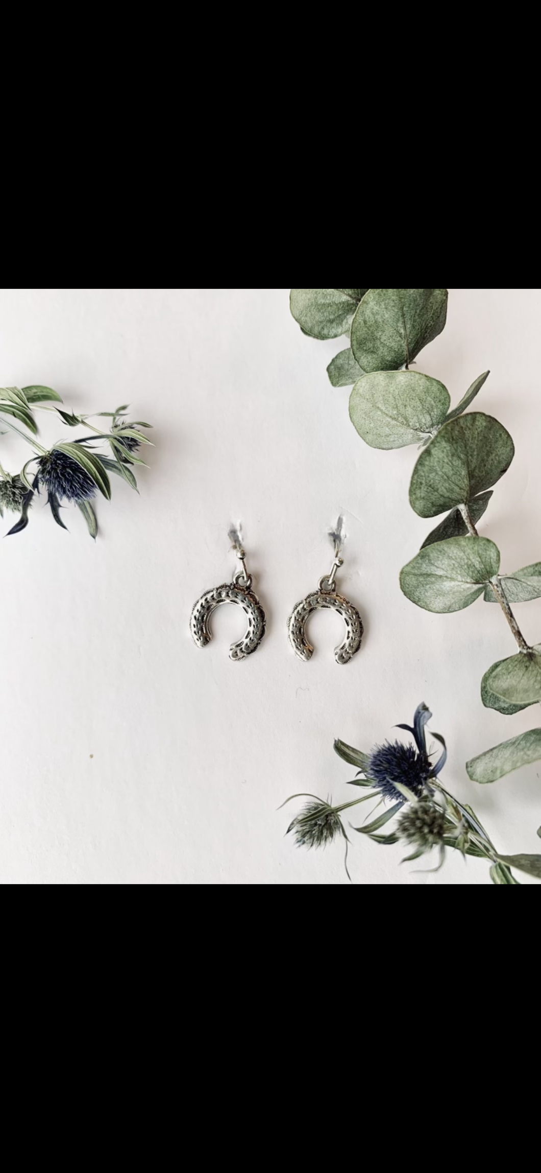 Horseshoe Earring